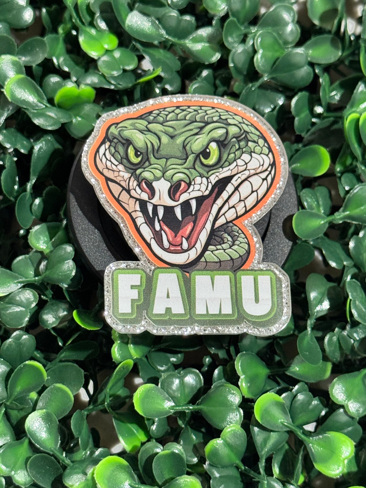 FAMU Poppin’
