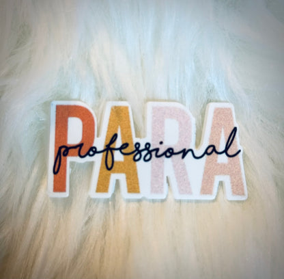 Paraprofessional