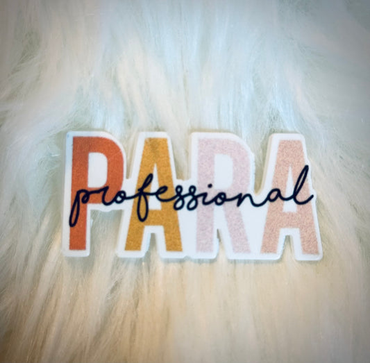 Paraprofessional