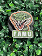FAMU Poppin’